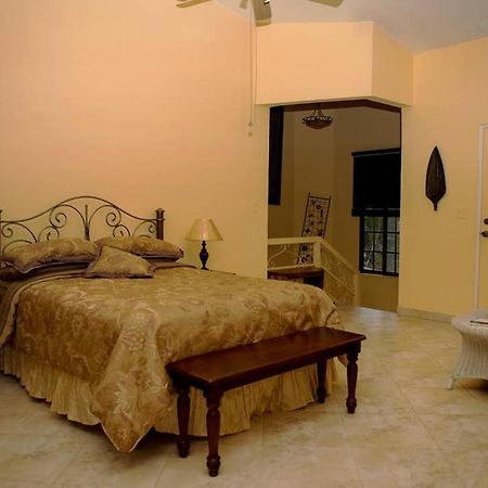 Tower Studio In The Treetops In Altos Del Maria Panama El Picacho Exterior photo