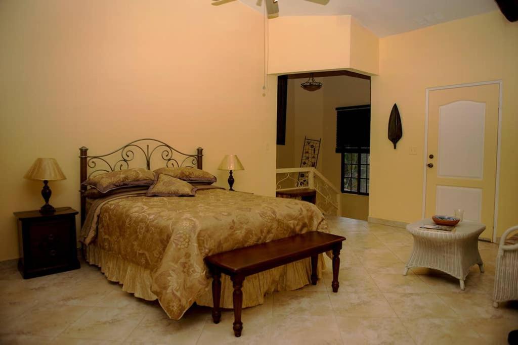 Tower Studio In The Treetops In Altos Del Maria Panama El Picacho Exterior photo